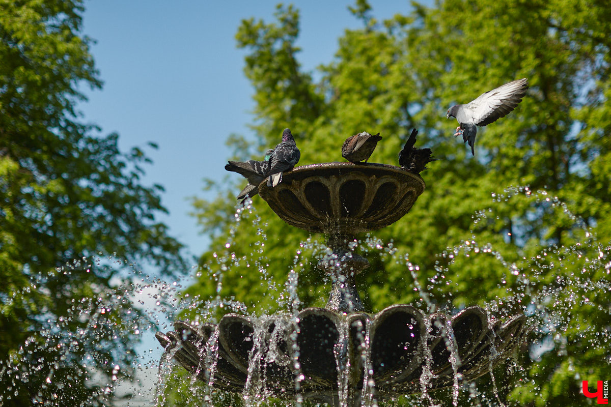 Владимирские фонтаны закрываются на зиму. Сказать им «до свидания» мы решили, покопавшись в истории и выбрав самые-самые интересные факты о водных сооружениях.