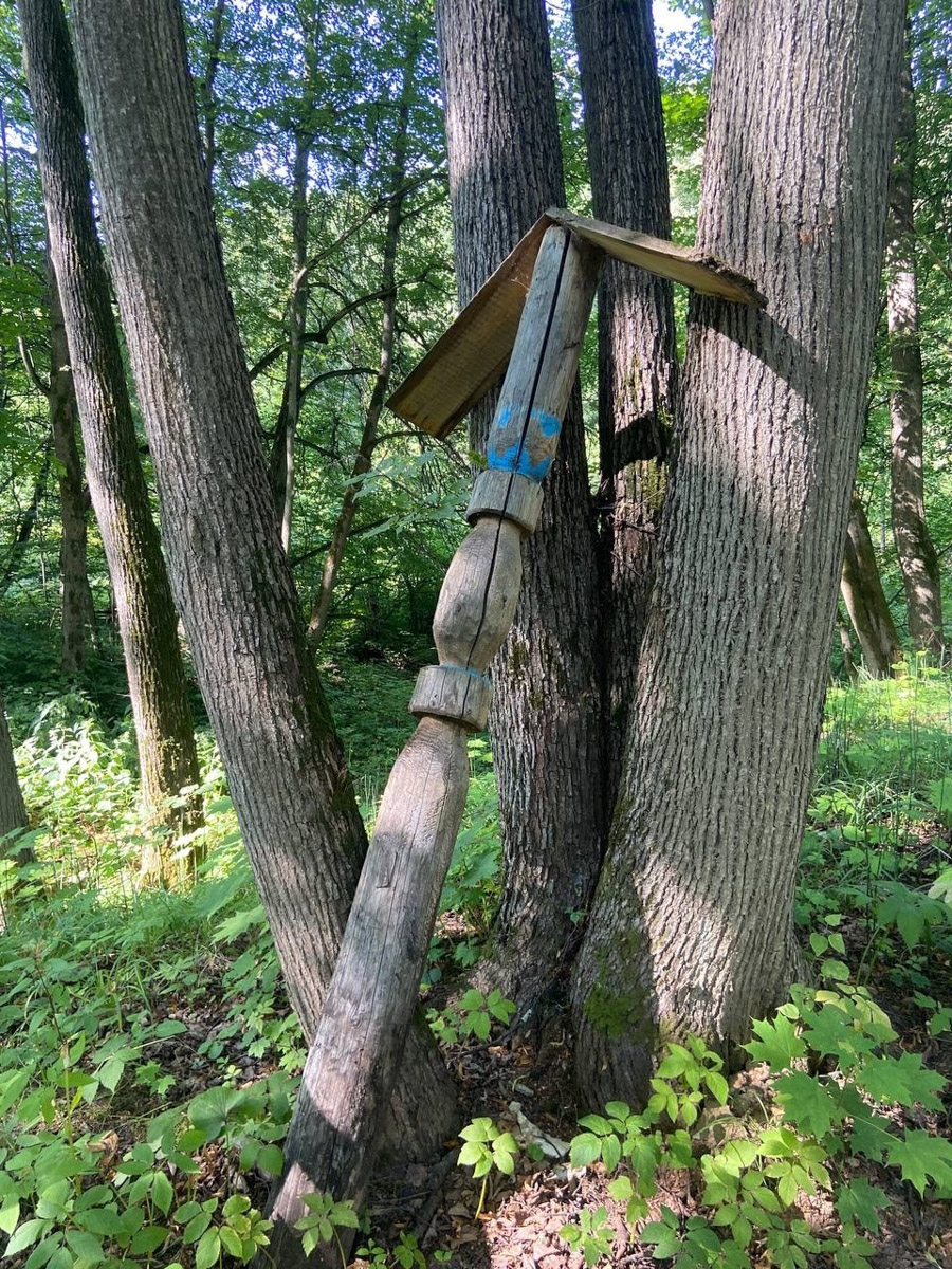 Станок для подковки коня, образцы редкой глухой корабельной резьбы, овины, амбары, мельницы и церкви старого образца. А еще ступальный колодец, который приводили в движение с помощью ног. На территории в 36 гектаров на окраине Нижнего Новгорода раскинулся уникальный музей деревянного зодчества «Щёлоковский хутор». Все его чудеса увидел и «Ключ-Медиа»!
