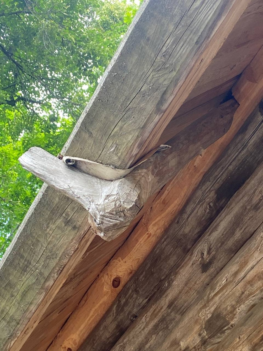 Станок для подковки коня, образцы редкой глухой корабельной резьбы, овины, амбары, мельницы и церкви старого образца. А еще ступальный колодец, который приводили в движение с помощью ног. На территории в 36 гектаров на окраине Нижнего Новгорода раскинулся уникальный музей деревянного зодчества «Щёлоковский хутор». Все его чудеса увидел и «Ключ-Медиа»!