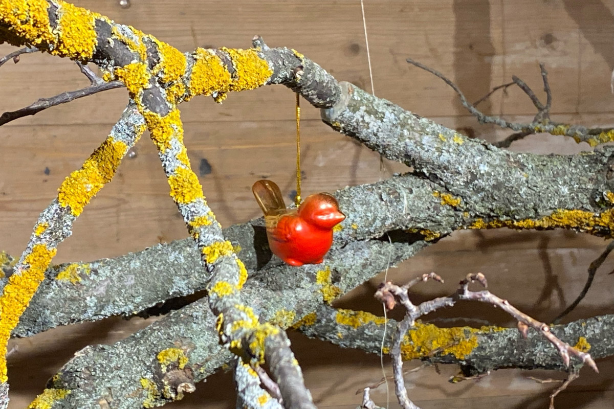 Станок для подковки коня, образцы редкой глухой корабельной резьбы, овины, амбары, мельницы и церкви старого образца. А еще ступальный колодец, который приводили в движение с помощью ног. На территории в 36 гектаров на окраине Нижнего Новгорода раскинулся уникальный музей деревянного зодчества «Щёлоковский хутор». Все его чудеса увидел и «Ключ-Медиа»!