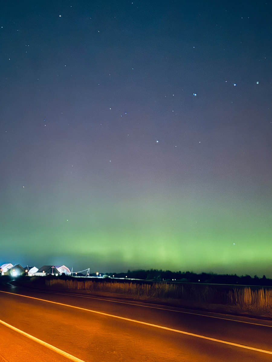 Ночное небо вновь подарило жителям Владимирской области эффектное шоу — невероятной интенсивности северное сияние. Яркие переливы возникли на фоне мощной магнитной бури и были заметны даже в черте города, что само по себе похоже на чудо. Не успели застать редкое в наших краях природное явление лично? Полюбуйтесь необычными кадрами, собранными в нашей статье!