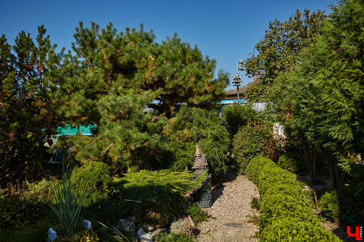 Чего только не       умеют человеческие руки! Подтверждение этому       — фантастический дом в       Юрьеве-Польском, который самостоятельно украсили мастерица Светлана Дракус и       ее       семья. Необычную постройку видно издалека, неудивительно, что она привлекает внимание как местных жителей, так и       туристов. «Ключ-Медиа» побывал в       сказочной крепости и       узнал у       хозяйки участка, откуда она черпает идеи и       как создает подобную красоту.