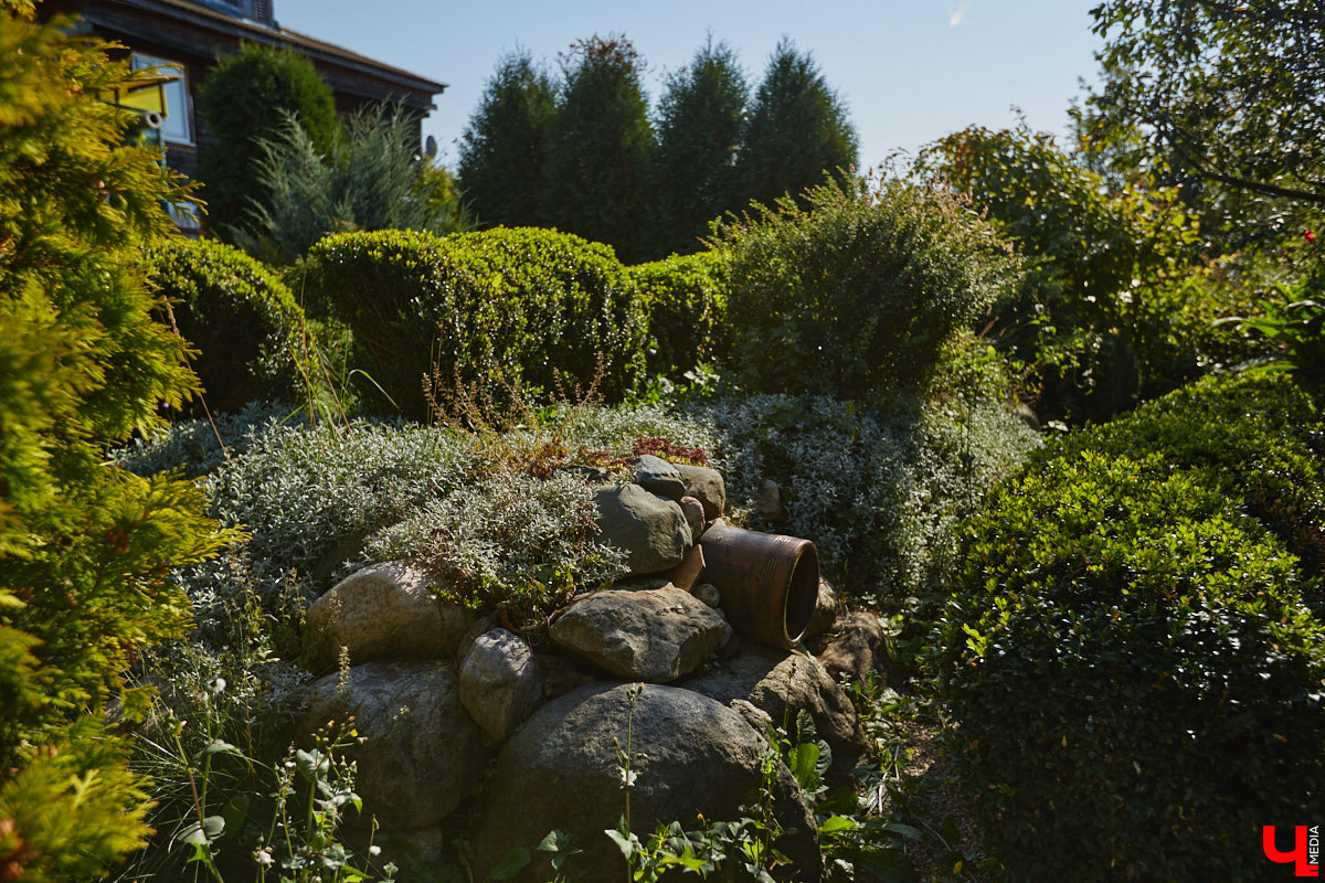 Чего только не       умеют человеческие руки! Подтверждение этому       — фантастический дом в       Юрьеве-Польском, который самостоятельно украсили мастерица Светлана Дракус и       ее       семья. Необычную постройку видно издалека, неудивительно, что она привлекает внимание как местных жителей, так и       туристов. «Ключ-Медиа» побывал в       сказочной крепости и       узнал у       хозяйки участка, откуда она черпает идеи и       как создает подобную красоту.