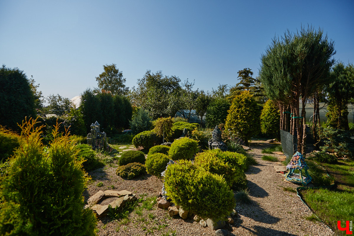 Чего только не       умеют человеческие руки! Подтверждение этому       — фантастический дом в       Юрьеве-Польском, который самостоятельно украсили мастерица Светлана Дракус и       ее       семья. Необычную постройку видно издалека, неудивительно, что она привлекает внимание как местных жителей, так и       туристов. «Ключ-Медиа» побывал в       сказочной крепости и       узнал у       хозяйки участка, откуда она черпает идеи и       как создает подобную красоту.