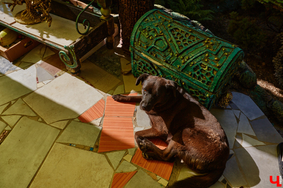 Чего только не       умеют человеческие руки! Подтверждение этому       — фантастический дом в       Юрьеве-Польском, который самостоятельно украсили мастерица Светлана Дракус и       ее       семья. Необычную постройку видно издалека, неудивительно, что она привлекает внимание как местных жителей, так и       туристов. «Ключ-Медиа» побывал в       сказочной крепости и       узнал у       хозяйки участка, откуда она черпает идеи и       как создает подобную красоту.