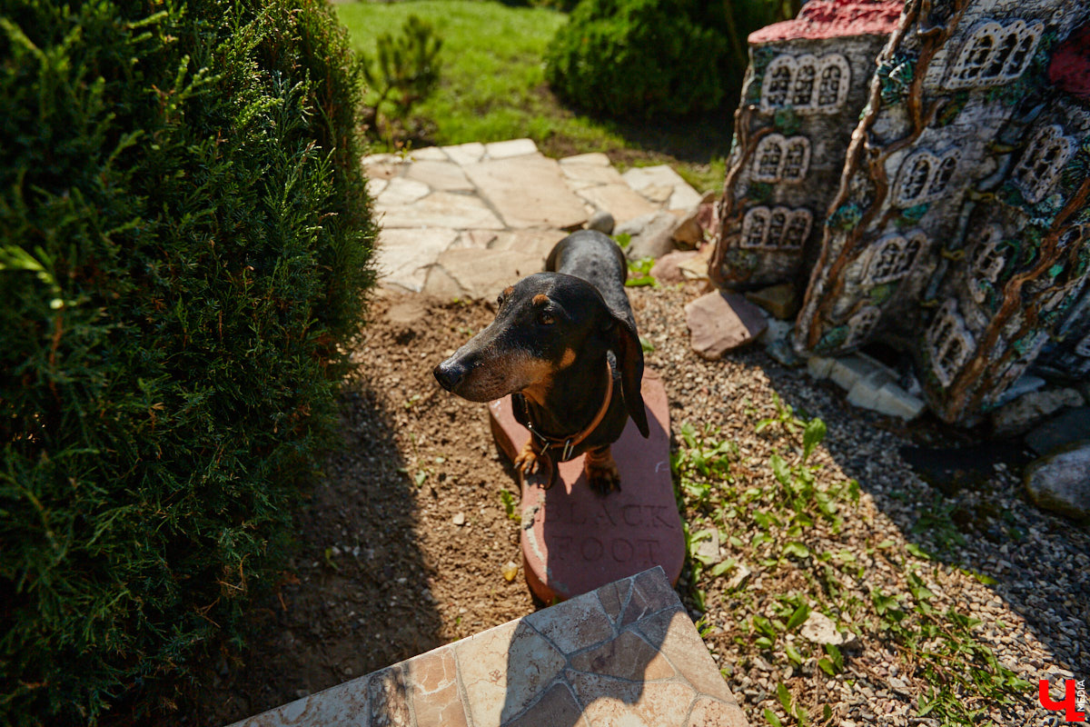 Чего только не       умеют человеческие руки! Подтверждение этому       — фантастический дом в       Юрьеве-Польском, который самостоятельно украсили мастерица Светлана Дракус и       ее       семья. Необычную постройку видно издалека, неудивительно, что она привлекает внимание как местных жителей, так и       туристов. «Ключ-Медиа» побывал в       сказочной крепости и       узнал у       хозяйки участка, откуда она черпает идеи и       как создает подобную красоту.