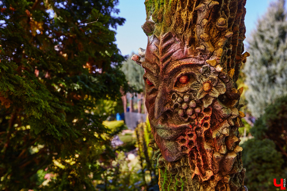 Чего только не       умеют человеческие руки! Подтверждение этому       — фантастический дом в       Юрьеве-Польском, который самостоятельно украсили мастерица Светлана Дракус и       ее       семья. Необычную постройку видно издалека, неудивительно, что она привлекает внимание как местных жителей, так и       туристов. «Ключ-Медиа» побывал в       сказочной крепости и       узнал у       хозяйки участка, откуда она черпает идеи и       как создает подобную красоту.