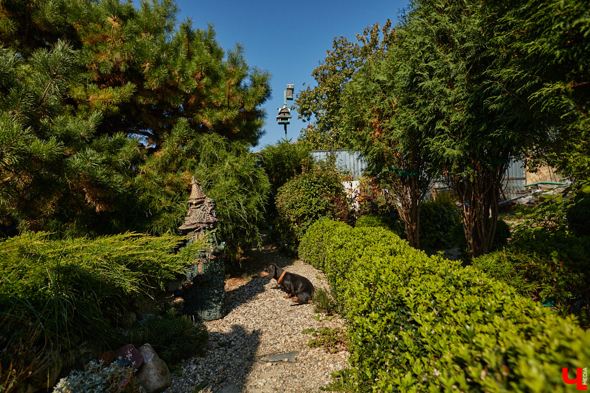 Чего только не       умеют человеческие руки! Подтверждение этому       — фантастический дом в       Юрьеве-Польском, который самостоятельно украсили мастерица Светлана Дракус и       ее       семья. Необычную постройку видно издалека, неудивительно, что она привлекает внимание как местных жителей, так и       туристов. «Ключ-Медиа» побывал в       сказочной крепости и       узнал у       хозяйки участка, откуда она черпает идеи и       как создает подобную красоту.