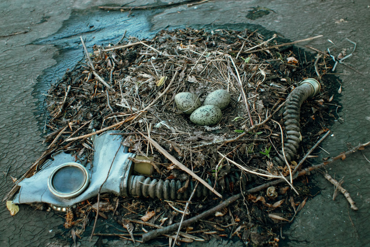 ВТЗ являлся одним из знаковых предприятий региона, а легендарный «Владимирец» был известен во всем мире. Сейчас это дела минувших лет, которые, к счастью, не спешат забывать. Каким был завод (а точнее, то, что от него осталось) пять лет назад, мы вспоминаем, листая кадры из архива местного фотографа Ивана Матвеева.