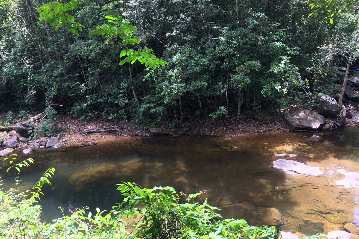 Владимирский бегун Владислав Демьянов побил рекорд тайского Koh Chang Trail