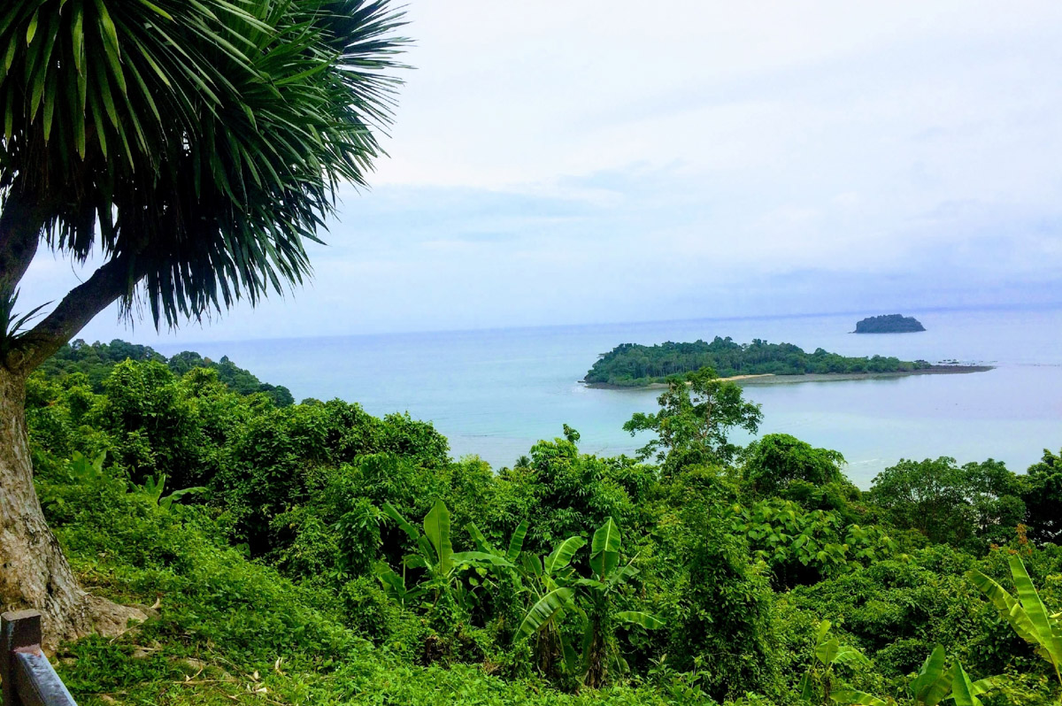 Владимирский бегун Владислав Демьянов побил рекорд тайского Koh Chang Trail