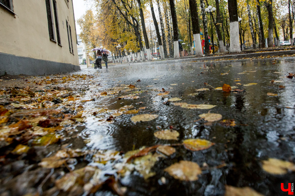 Природа на этой неделе сменит яркие краски на осеннюю дымку. Солнышко в наших краях и так задержалось, теперь оно уступает свое место туману и каплям дождя. При этом температура все равно останется выше климатической нормы, а заморозков пока не предвидится.