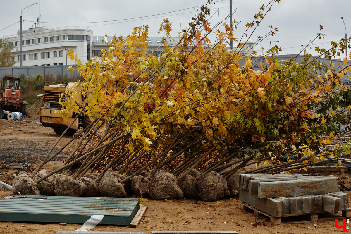 В областном центре продолжается строительство сразу двух новых дорог вдоль границы Старых садов. Одна из них соединит Октябрьский проспект и улицу Стрелецкий Мыс, вторая — Лыбедскую магистраль и улицу Пушкарскую. В будущем там обещают создать новый городской парк. Пока же территорию скрыли от глаз за высоким забором. «Ключ-Медиа» прогулялся по огражденному участку вместе с представителем подрядной организации.