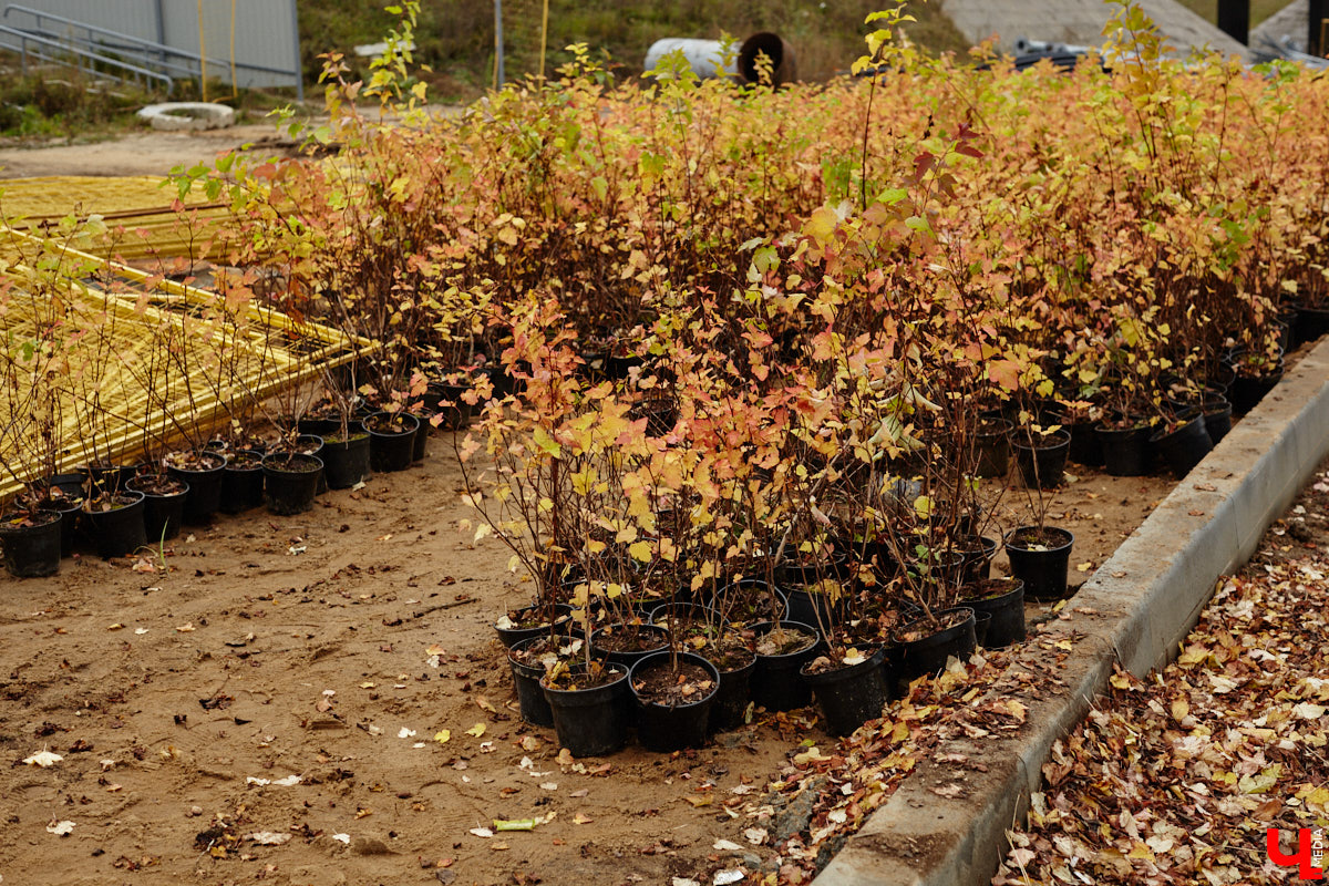 В областном центре продолжается строительство сразу двух новых дорог вдоль границы Старых садов. Одна из них соединит Октябрьский проспект и улицу Стрелецкий Мыс, вторая — Лыбедскую магистраль и улицу Пушкарскую. В будущем там обещают создать новый городской парк. Пока же территорию скрыли от глаз за высоким забором. «Ключ-Медиа» прогулялся по огражденному участку вместе с представителем подрядной организации.