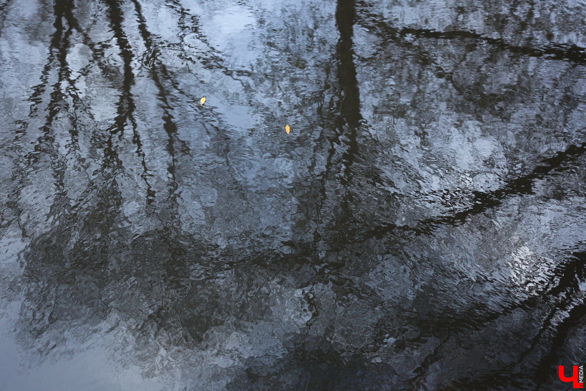 С понедельника золото деревьев разом поблекло под серым тентом неба, а температура совершила крутое пике. Мало того, судя по прогнозам, скоро во Владимирской области закружат белые мухи. Впрочем, как говорят синоптики, небольшое утешение все-таки будет.