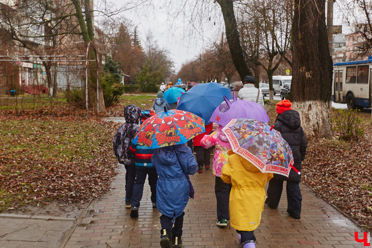 С понедельника золото деревьев разом поблекло под серым тентом неба, а температура совершила крутое пике. Мало того, судя по прогнозам, скоро во Владимирской области закружат белые мухи. Впрочем, как говорят синоптики, небольшое утешение все-таки будет.