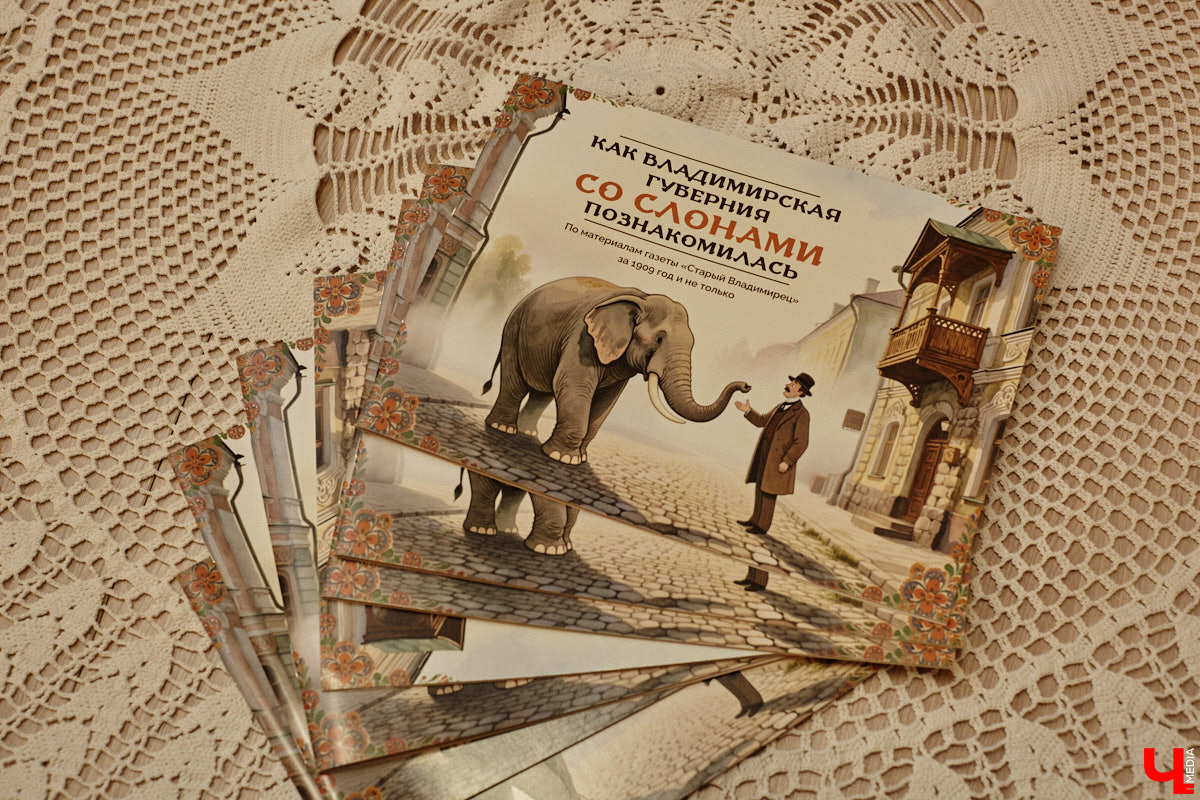 Где мы, а где африканские тяжеловесы с бивнями! Но руководитель нескольких частных музеев Татьяна Пикунова уверяет: слоны были ближе к Владимирской губернии, чем нам кажется. Анекдотическую историю столетней давности автор перенесла на страницы своей новой книги, которую «Ключ-Медиа» уже успел полистать.
