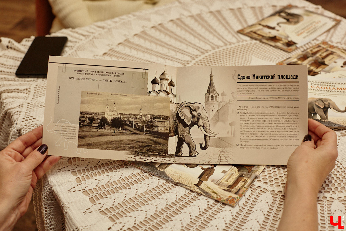 Где мы, а где африканские тяжеловесы с бивнями! Но руководитель нескольких частных музеев Татьяна Пикунова уверяет: слоны были ближе к Владимирской губернии, чем нам кажется. Анекдотическую историю столетней давности автор перенесла на страницы своей новой книги, которую «Ключ-Медиа» уже успел полистать.