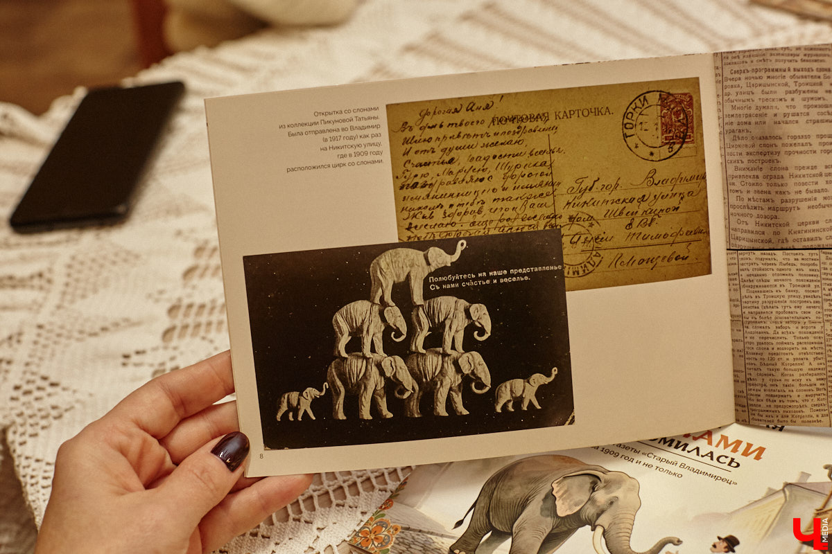 Где мы, а где африканские тяжеловесы с бивнями! Но руководитель нескольких частных музеев Татьяна Пикунова уверяет: слоны были ближе к Владимирской губернии, чем нам кажется. Анекдотическую историю столетней давности автор перенесла на страницы своей новой книги, которую «Ключ-Медиа» уже успел полистать.