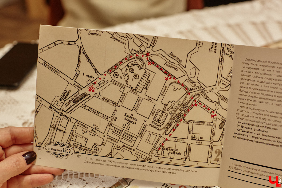 Где мы, а где африканские тяжеловесы с бивнями! Но руководитель нескольких частных музеев Татьяна Пикунова уверяет: слоны были ближе к Владимирской губернии, чем нам кажется. Анекдотическую историю столетней давности автор перенесла на страницы своей новой книги, которую «Ключ-Медиа» уже успел полистать.