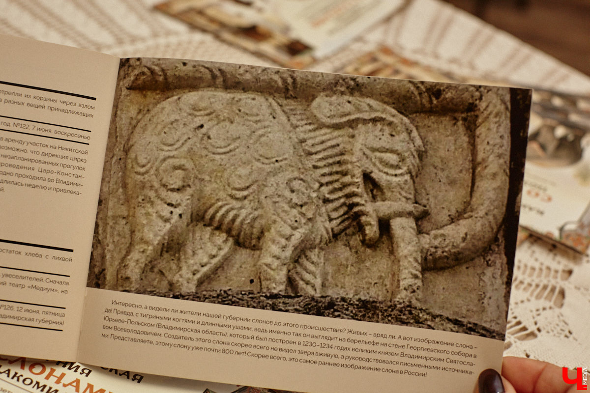 Где мы, а где африканские тяжеловесы с бивнями! Но руководитель нескольких частных музеев Татьяна Пикунова уверяет: слоны были ближе к Владимирской губернии, чем нам кажется. Анекдотическую историю столетней давности автор перенесла на страницы своей новой книги, которую «Ключ-Медиа» уже успел полистать.