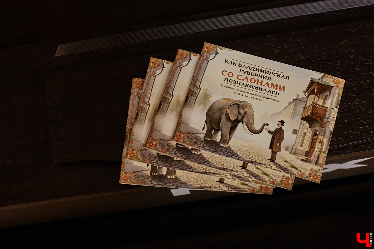 Где мы, а где африканские тяжеловесы с бивнями! Но руководитель нескольких частных музеев Татьяна Пикунова уверяет: слоны были ближе к Владимирской губернии, чем нам кажется. Анекдотическую историю столетней давности автор перенесла на страницы своей новой книги, которую «Ключ-Медиа» уже успел полистать.
