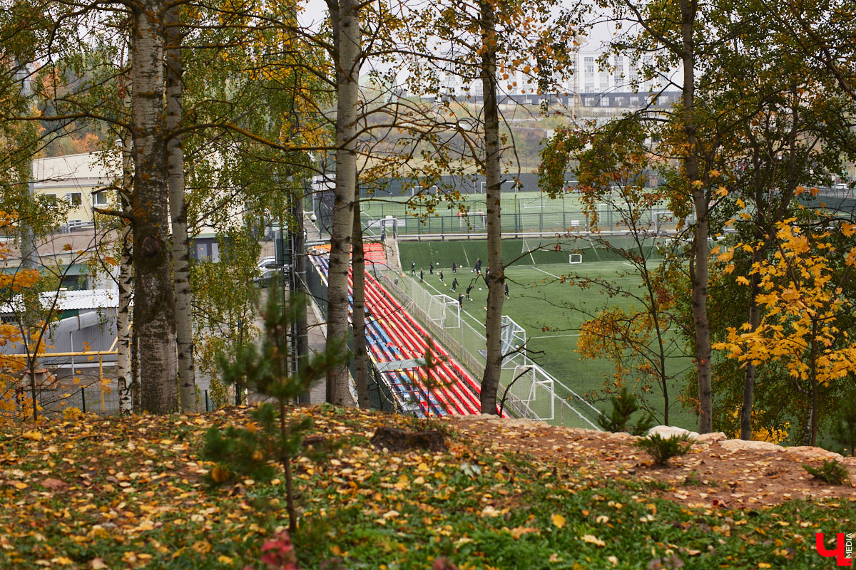 Владимирцам представили на выбор сразу пять вариантов концепций по реновации стадиона «Торпедо». Голосование за наиболее приглянувшийся рендер проходит в социальных сетях. Что о предложенных визуализациях думают жители и как оценивают эти идеи городские общественники? Давайте обсудим.
