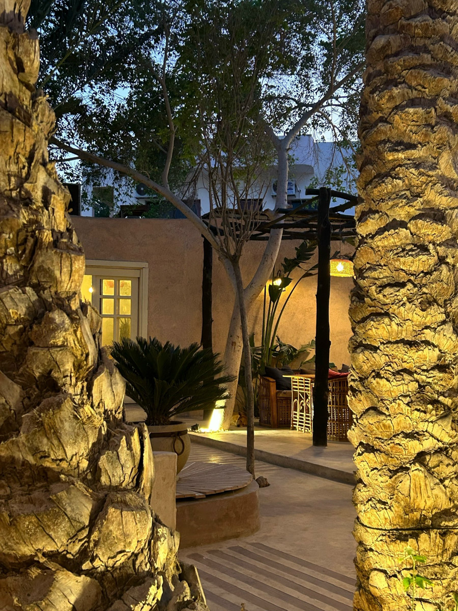 В жизни психолога из Владимира Татьяны Пошаталовой есть место и для спорта, и для путешествий. Более того, они могут гармонично дополнять друг друга. Например, на отдыхе в Анталье и Дахабе девушка не грелась у моря, а покоряла скалы и наслаждалась свободой за пределами однообразных отелей.