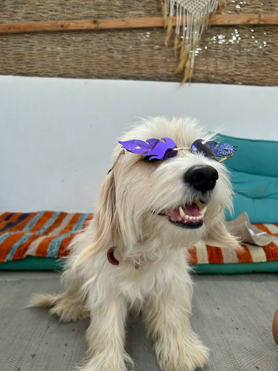 В жизни психолога из Владимира Татьяны Пошаталовой есть место и для спорта, и для путешествий. Более того, они могут гармонично дополнять друг друга. Например, на отдыхе в Анталье и Дахабе девушка не грелась у моря, а покоряла скалы и наслаждалась свободой за пределами однообразных отелей.