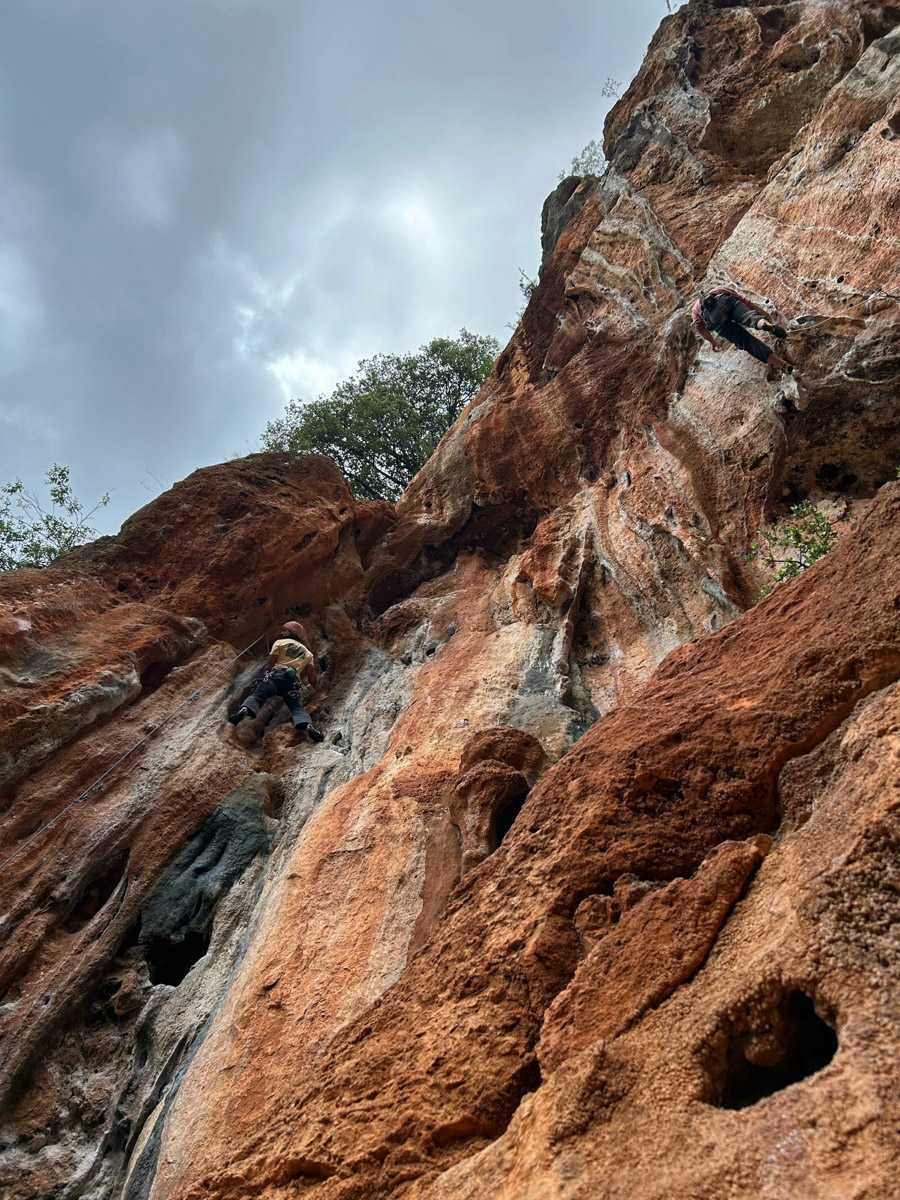 В жизни психолога из Владимира Татьяны Пошаталовой есть место и для спорта, и для путешествий. Более того, они могут гармонично дополнять друг друга. Например, на отдыхе в Анталье и Дахабе девушка не грелась у моря, а покоряла скалы и наслаждалась свободой за пределами однообразных отелей.