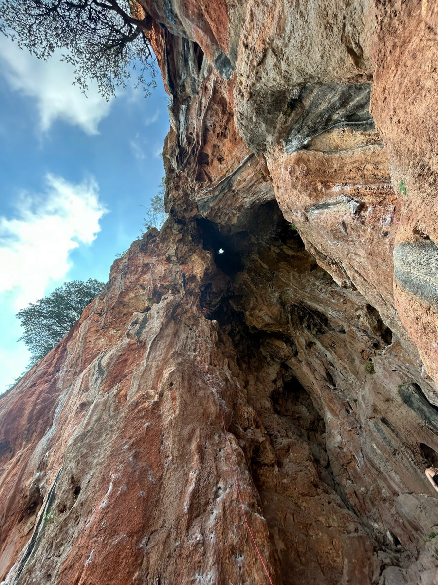 В жизни психолога из Владимира Татьяны Пошаталовой есть место и для спорта, и для путешествий. Более того, они могут гармонично дополнять друг друга. Например, на отдыхе в Анталье и Дахабе девушка не грелась у моря, а покоряла скалы и наслаждалась свободой за пределами однообразных отелей.