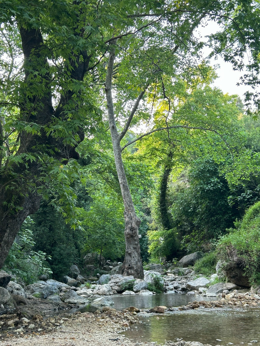 В жизни психолога из Владимира Татьяны Пошаталовой есть место и для спорта, и для путешествий. Более того, они могут гармонично дополнять друг друга. Например, на отдыхе в Анталье и Дахабе девушка не грелась у моря, а покоряла скалы и наслаждалась свободой за пределами однообразных отелей.