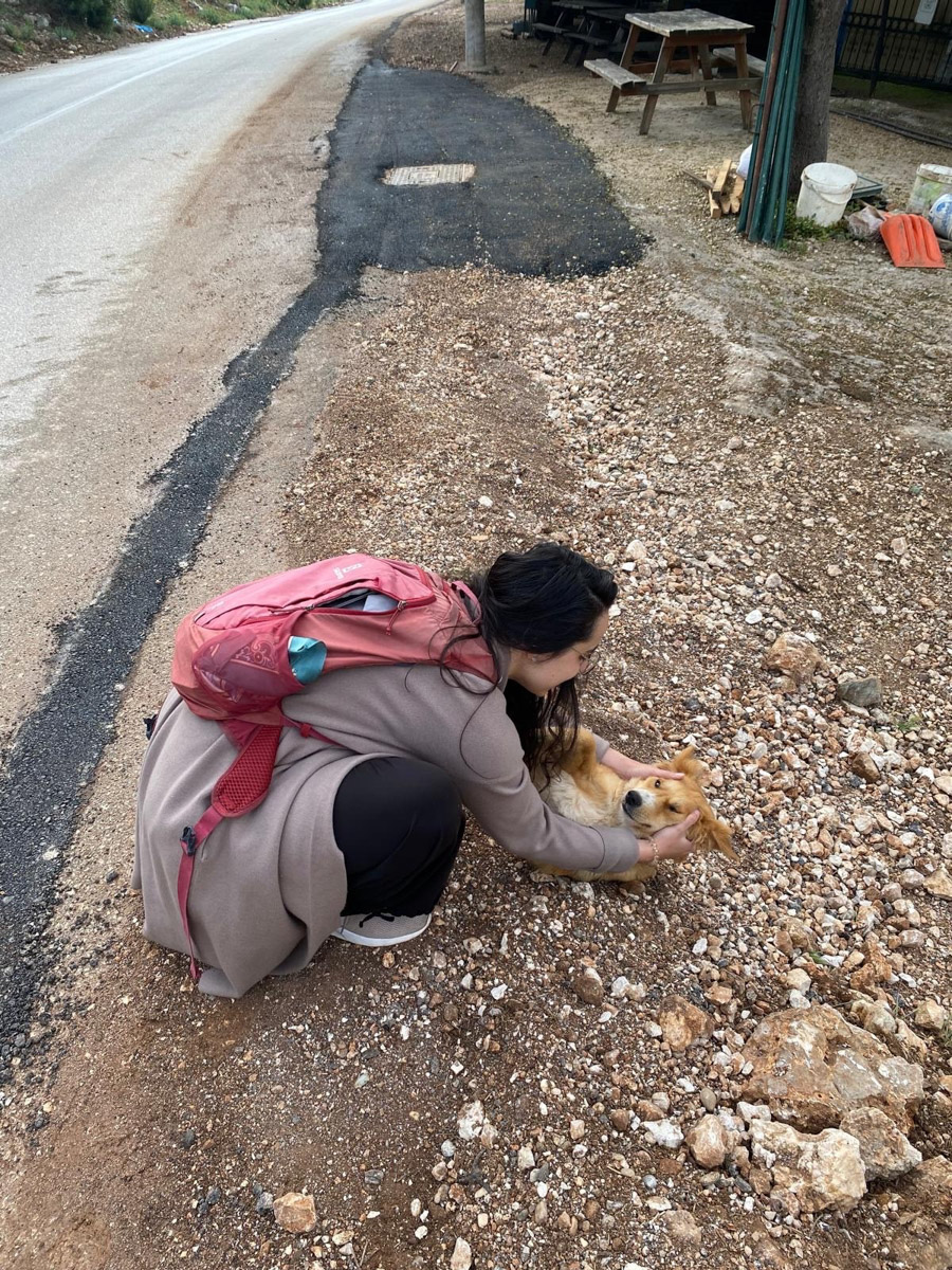 В жизни психолога из Владимира Татьяны Пошаталовой есть место и для спорта, и для путешествий. Более того, они могут гармонично дополнять друг друга. Например, на отдыхе в Анталье и Дахабе девушка не грелась у моря, а покоряла скалы и наслаждалась свободой за пределами однообразных отелей.
