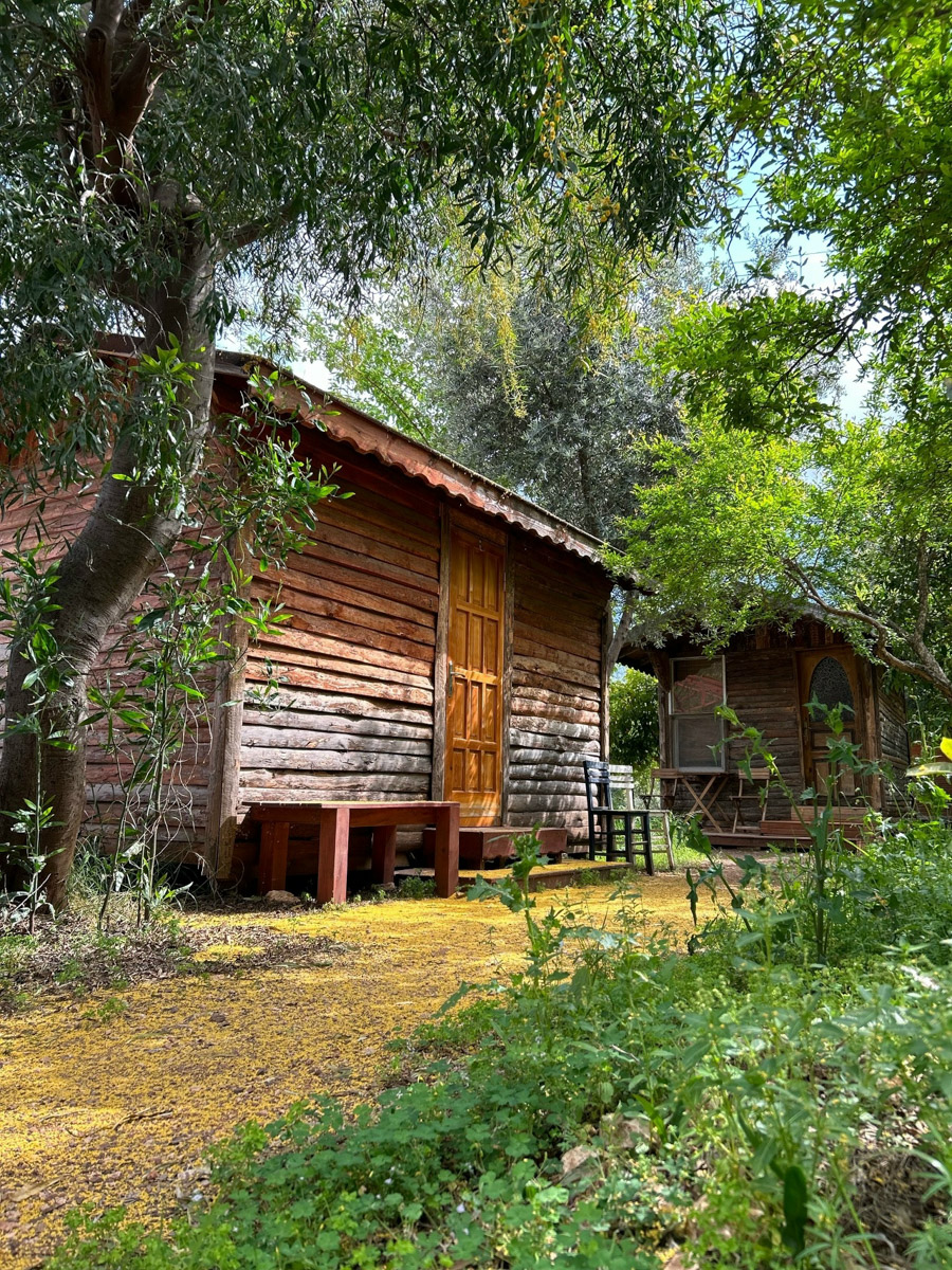 В жизни психолога из Владимира Татьяны Пошаталовой есть место и для спорта, и для путешествий. Более того, они могут гармонично дополнять друг друга. Например, на отдыхе в Анталье и Дахабе девушка не грелась у моря, а покоряла скалы и наслаждалась свободой за пределами однообразных отелей.