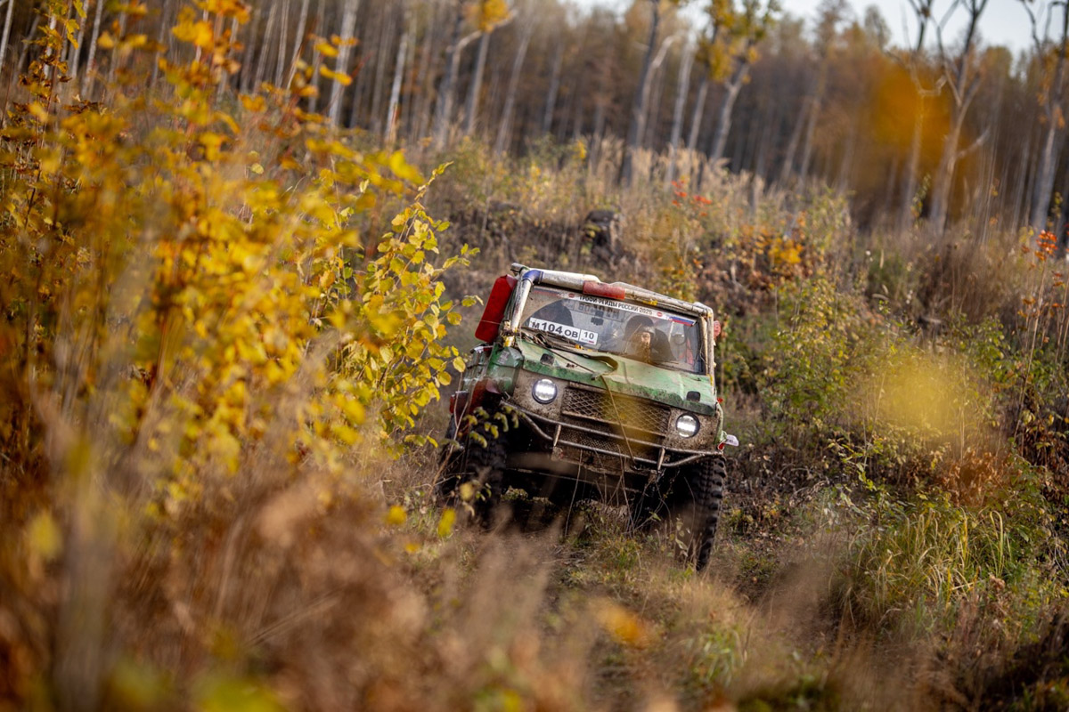 Медали на шею, кубки в руки. В таком формате спортсмены из 33-го региона живут практически нон-стоп. Не бывает и месяца без ярких завоеваний. В сентябре золото по кикбоксингу принесла области Елена Охапкина, а увесистые награды забрали участники чемпионата по бодибилдингу. Но не только они дали нам повод для гордости.