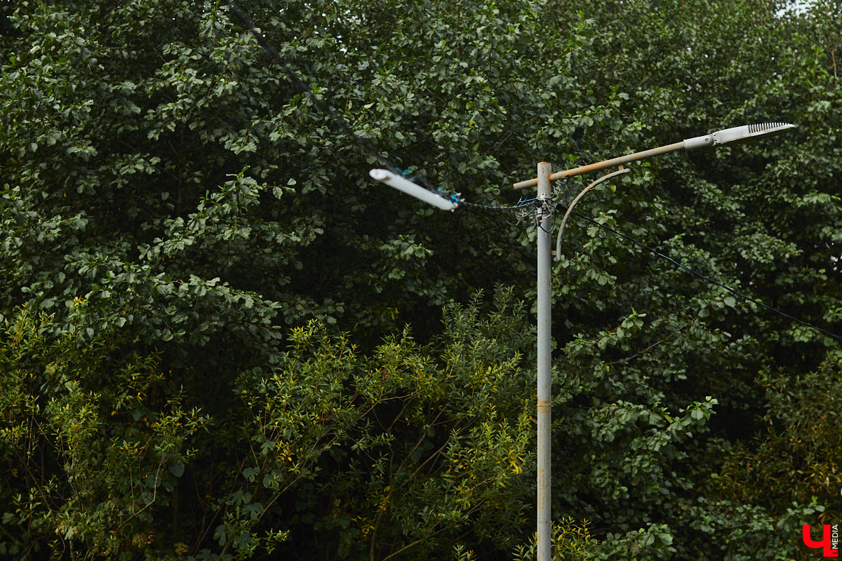 Любимый владимирцами Казанский родник ждет очередное обновление! И на сей раз благоустройство запланировано куда более масштабное, нежели два года назад. Почему про локацию вспомнили вновь и какие ее ждут изменения, спросили у директора природоохранной инспекции Владимирской области Ольги Канищевой.