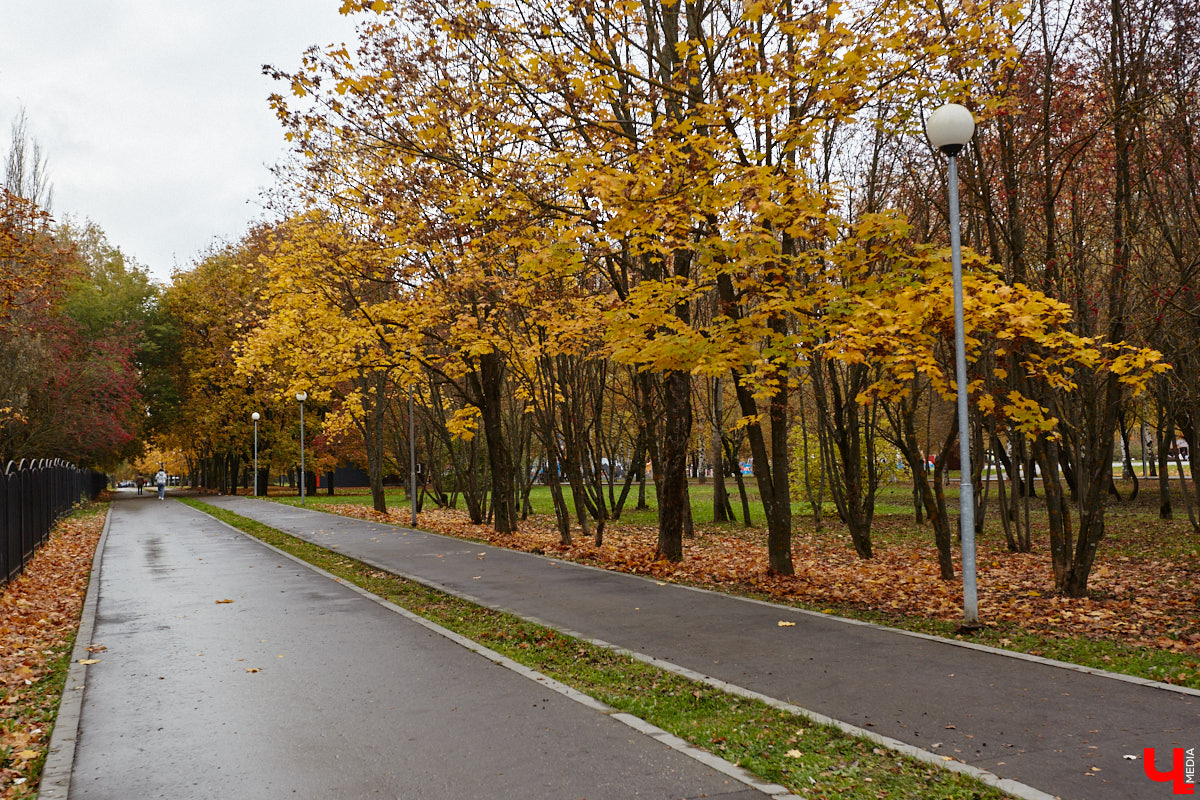 Хотя большая часть золота с деревьев уже под ногами, погода сохраняет положительный настрой. В столицу области обещанные снежинки так и не залетели. Есть ли они в планах и в какие цвета раскрасит октябрь картинку за окном, поведали синоптики.