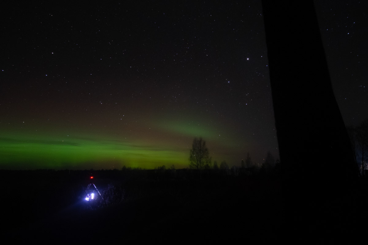 Астрофотограф из города оружейников смог поймать в объектив самую яркую комету года, которую последний раз видели на Земле предположительно 1350 лет назад. Владимир Родин успешно запечатлел «хвостатую странницу», а рассказом о процессе и получившимися кадрами поделился с нашим изданием.