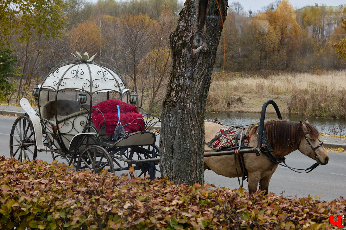 Кого только не принимал радушный Суздаль! На днях список достопочтенных гостей пополнил совершенно удивительный человек. На Владимирскую землю ступил инженер, бизнесмен и отец создателя Tesla, Илона Маска, Эррол Маск. «Ключ-Медиа» не упустил возможности встретиться и пообщаться с легендарной личностью.