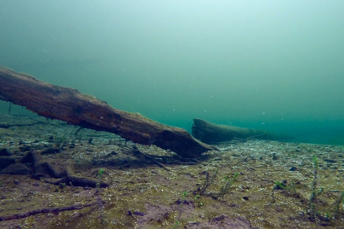 Нижегородские блогеры Алексей и Мария Левкины продолжают показывать, что скрывают водоемы 33-го региона. Ребята смело опускаются на дно рек и озер, чтобы сделать впечатляющие кадры. Пара вернулась во Владимирскую область, чтобы исследовать еще несколько интересных локаций.