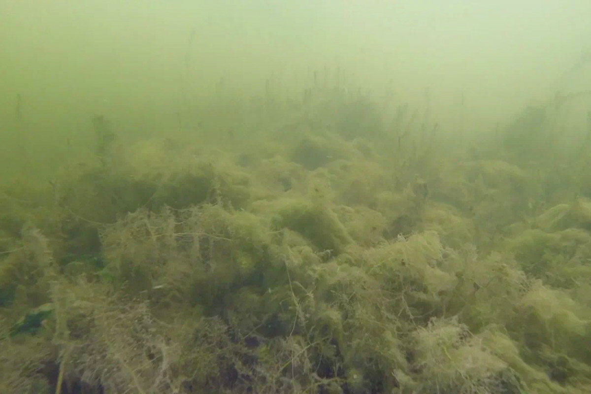 Нижегородские блогеры Алексей и Мария Левкины продолжают показывать, что скрывают водоемы 33-го региона. Ребята смело опускаются на дно рек и озер, чтобы сделать впечатляющие кадры. Пара вернулась во Владимирскую область, чтобы исследовать еще несколько интересных локаций.