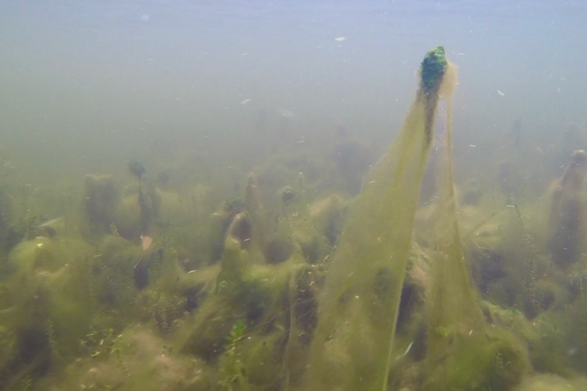 Нижегородские блогеры Алексей и Мария Левкины продолжают показывать, что скрывают водоемы 33-го региона. Ребята смело опускаются на дно рек и озер, чтобы сделать впечатляющие кадры. Пара вернулась во Владимирскую область, чтобы исследовать еще несколько интересных локаций.