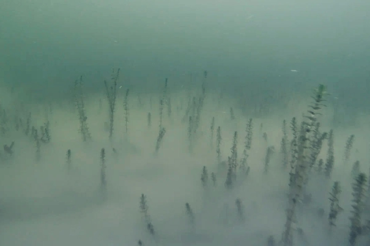 Нижегородские блогеры Алексей и Мария Левкины продолжают показывать, что скрывают водоемы 33-го региона. Ребята смело опускаются на дно рек и озер, чтобы сделать впечатляющие кадры. Пара вернулась во Владимирскую область, чтобы исследовать еще несколько интересных локаций.