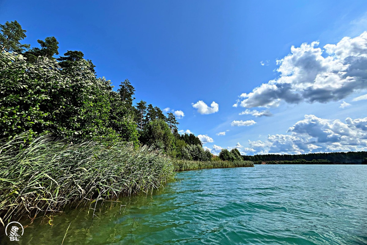 Нижегородские блогеры Алексей и Мария Левкины продолжают показывать, что скрывают водоемы 33-го региона. Ребята смело опускаются на дно рек и озер, чтобы сделать впечатляющие кадры. Пара вернулась во Владимирскую область, чтобы исследовать еще несколько интересных локаций.