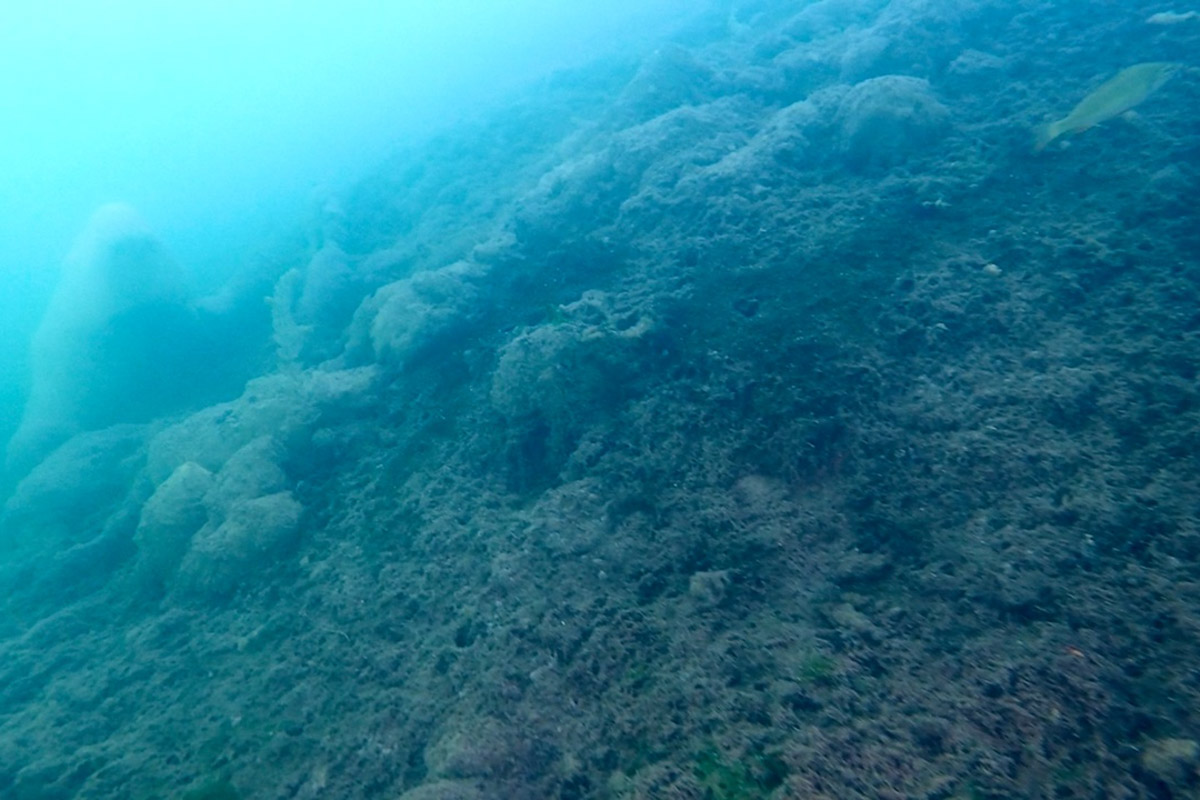 Нижегородские блогеры Алексей и Мария Левкины продолжают показывать, что скрывают водоемы 33-го региона. Ребята смело опускаются на дно рек и озер, чтобы сделать впечатляющие кадры. Пара вернулась во Владимирскую область, чтобы исследовать еще несколько интересных локаций.