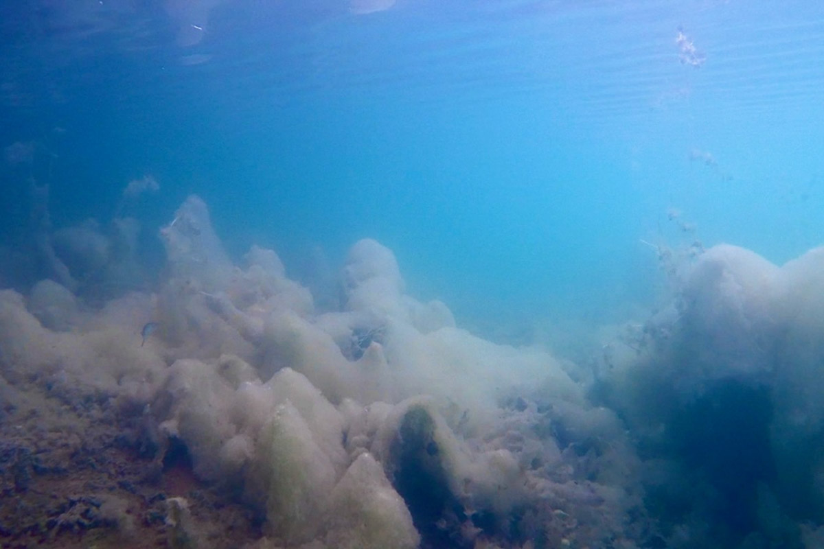 Нижегородские блогеры Алексей и Мария Левкины продолжают показывать, что скрывают водоемы 33-го региона. Ребята смело опускаются на дно рек и озер, чтобы сделать впечатляющие кадры. Пара вернулась во Владимирскую область, чтобы исследовать еще несколько интересных локаций.