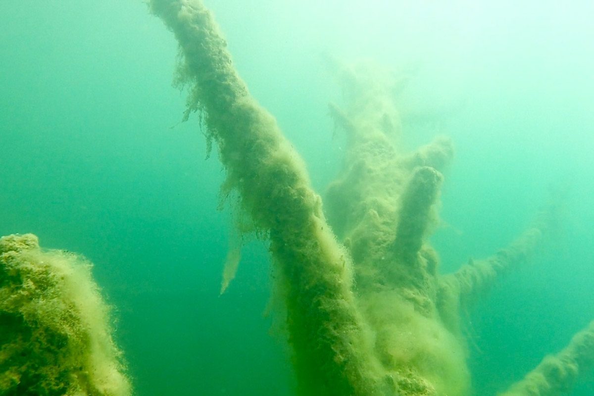 Нижегородские блогеры Алексей и Мария Левкины продолжают показывать, что скрывают водоемы 33-го региона. Ребята смело опускаются на дно рек и озер, чтобы сделать впечатляющие кадры. Пара вернулась во Владимирскую область, чтобы исследовать еще несколько интересных локаций.