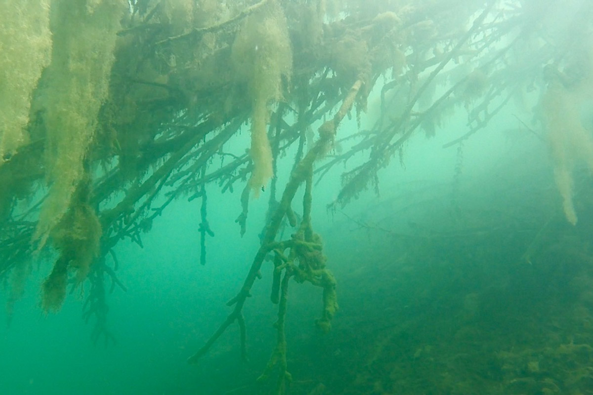 Нижегородские блогеры Алексей и Мария Левкины продолжают показывать, что скрывают водоемы 33-го региона. Ребята смело опускаются на дно рек и озер, чтобы сделать впечатляющие кадры. Пара вернулась во Владимирскую область, чтобы исследовать еще несколько интересных локаций.