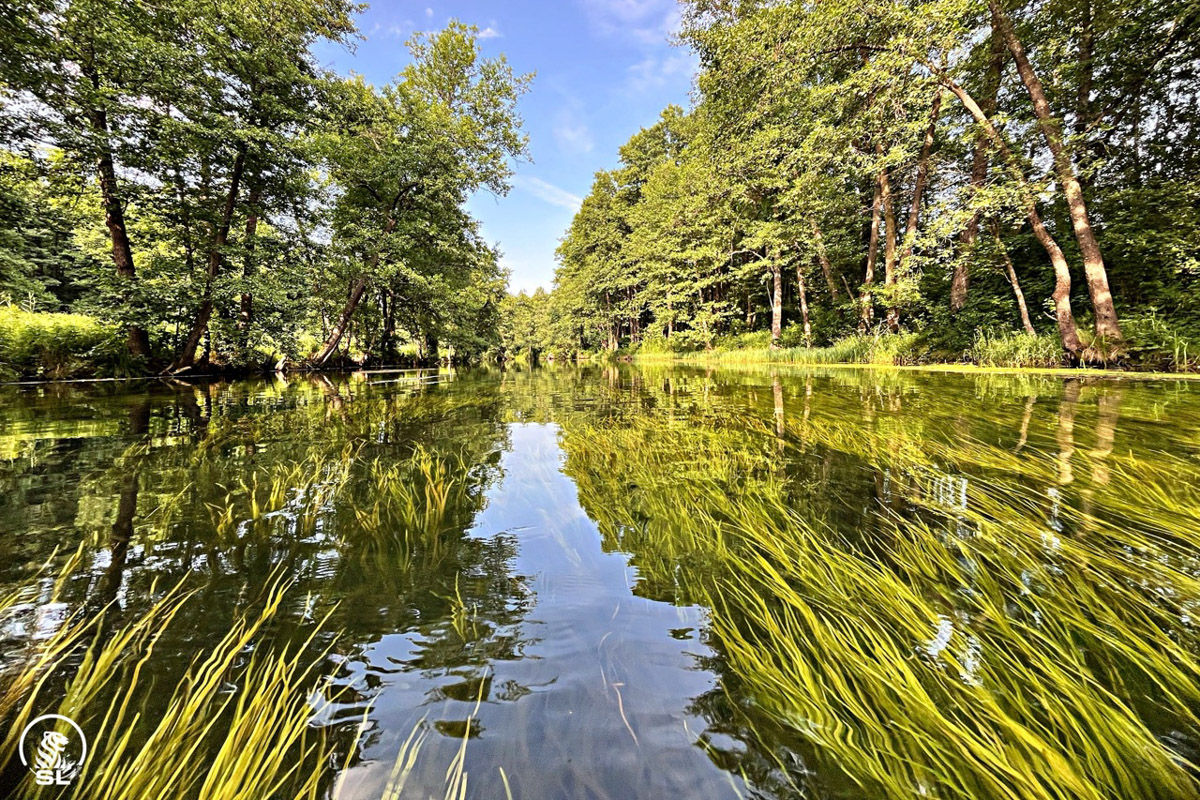 Нижегородские блогеры Алексей и Мария Левкины продолжают показывать, что скрывают водоемы 33-го региона. Ребята смело опускаются на дно рек и озер, чтобы сделать впечатляющие кадры. Пара вернулась во Владимирскую область, чтобы исследовать еще несколько интересных локаций.