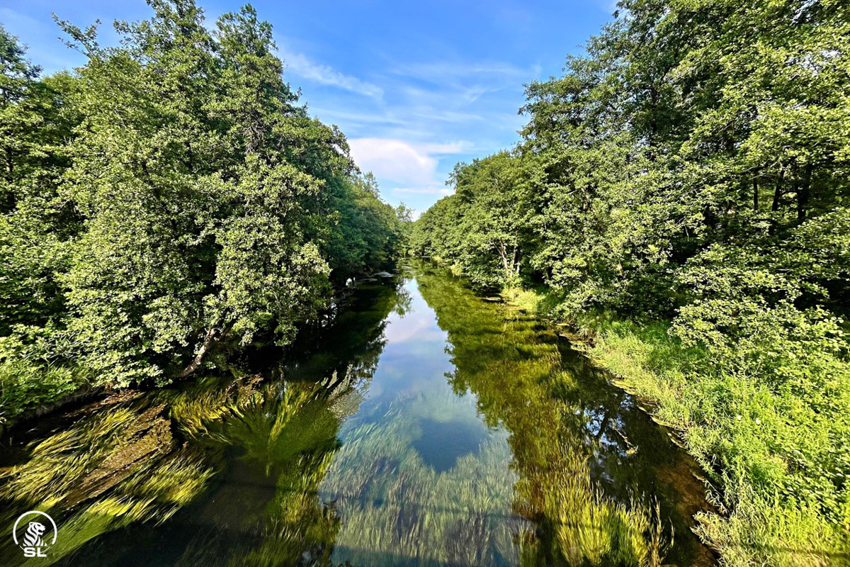 Нижегородские блогеры Алексей и Мария Левкины продолжают показывать, что скрывают водоемы 33-го региона. Ребята смело опускаются на дно рек и озер, чтобы сделать впечатляющие кадры. Пара вернулась во Владимирскую область, чтобы исследовать еще несколько интересных локаций.